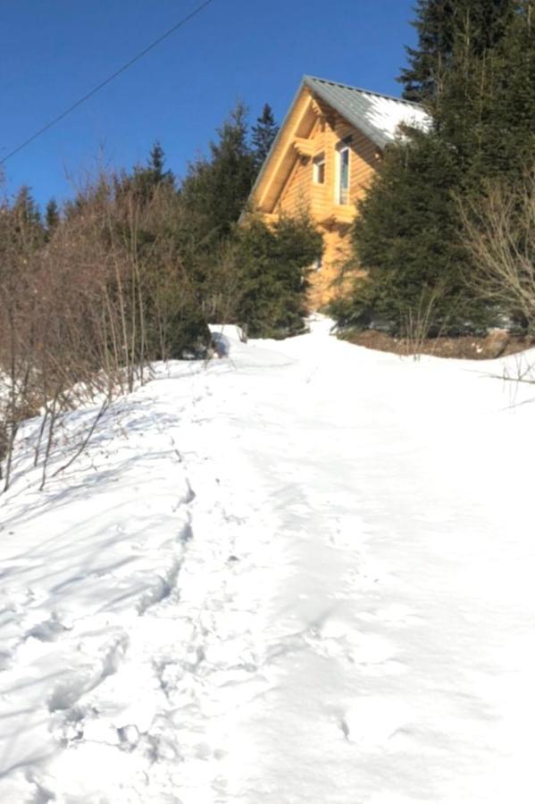 Alpenchalet Grabner Alm Am Praebichl Almhauser ภายนอก รูปภาพ