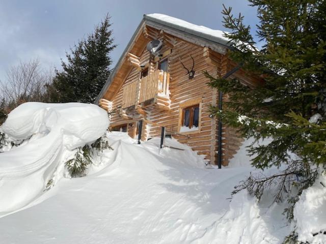 Alpenchalet Grabner Alm Am Praebichl Almhauser ภายนอก รูปภาพ