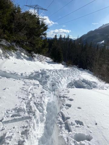 Alpenchalet Grabner Alm Am Praebichl Almhauser ภายนอก รูปภาพ